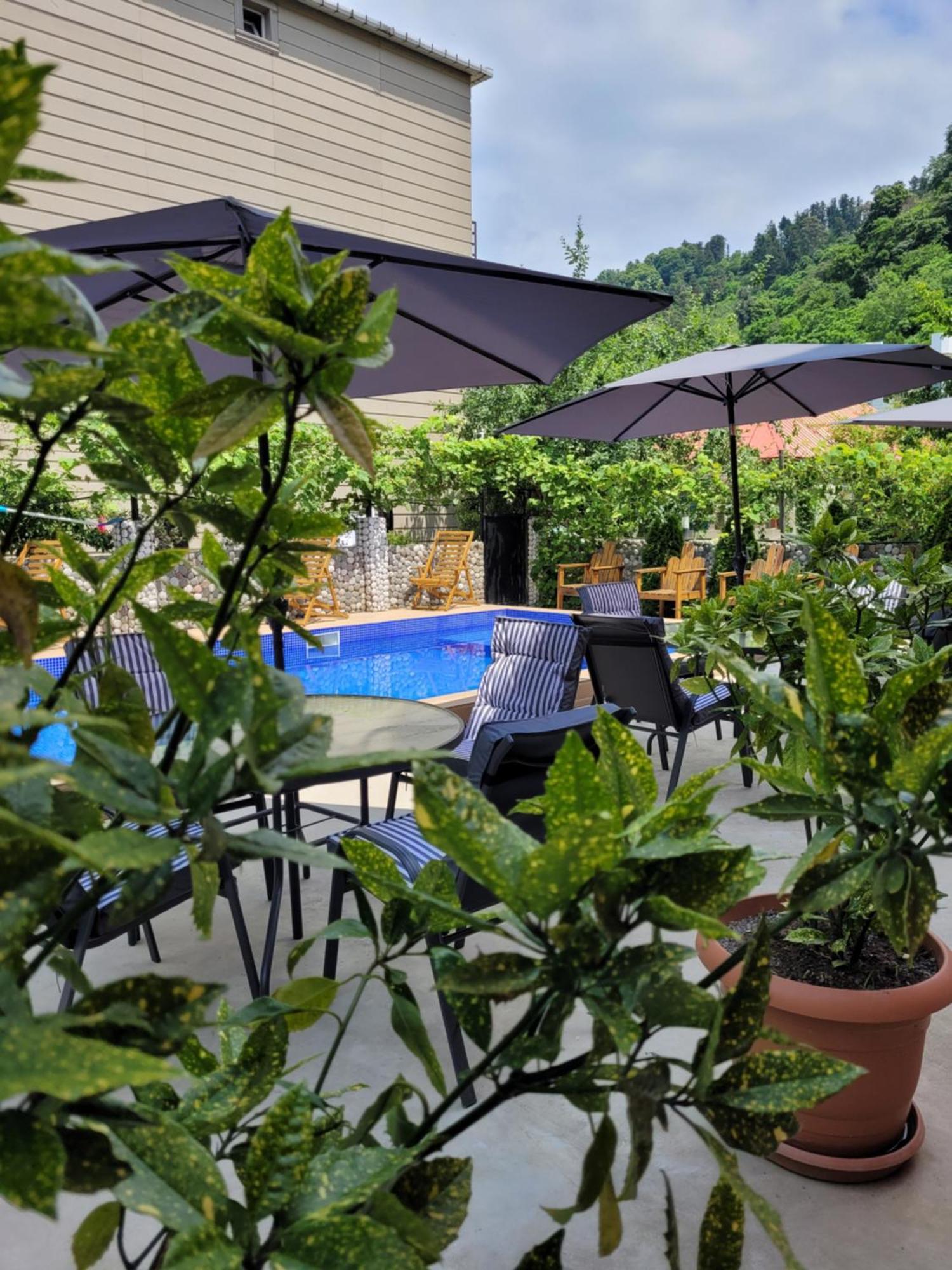 Vizitori Hotel Gonio Luaran gambar